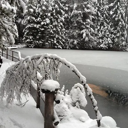 Mrak * لانغنفلد